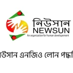 নিউসান এনজিও লোন পদ্ধতি