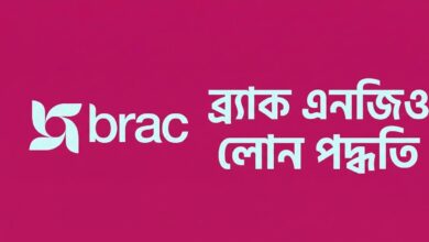 ব্র্যাক এনজিও লোন পদ্ধতি